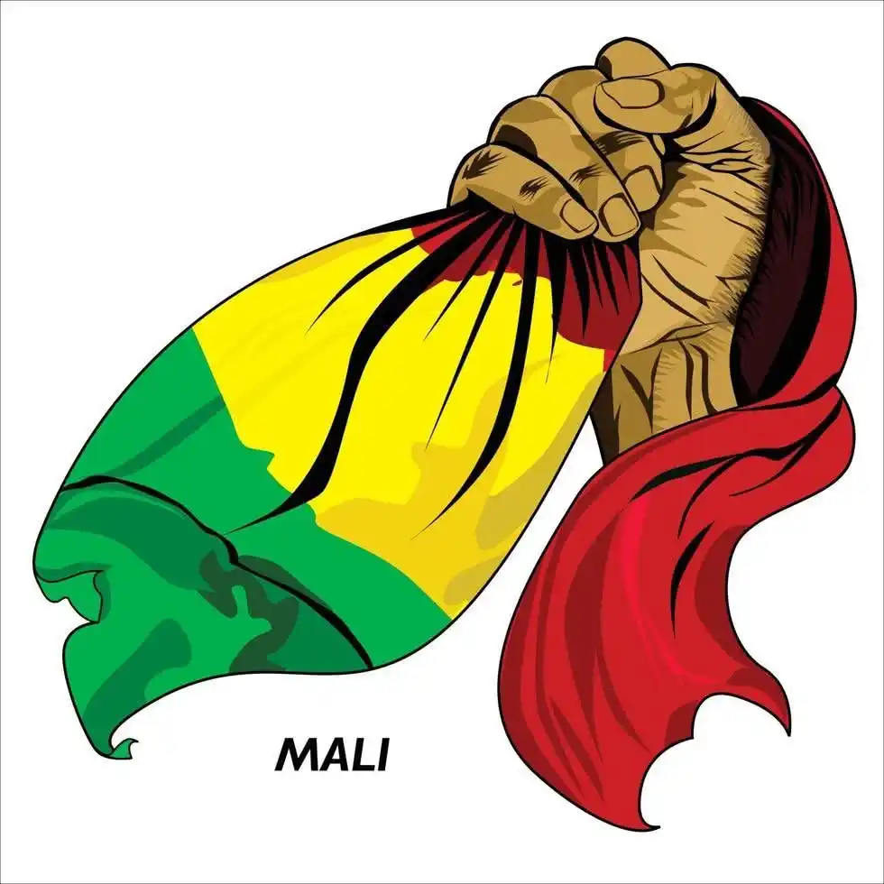 Image from Le Méhari Post de Mohamed AG Ahmedou du MTRM: LES VRAIS PATRIOTES SONT CEUX QUE LE RÉGIME VEUT FAIRE TAIRE... Dans ...