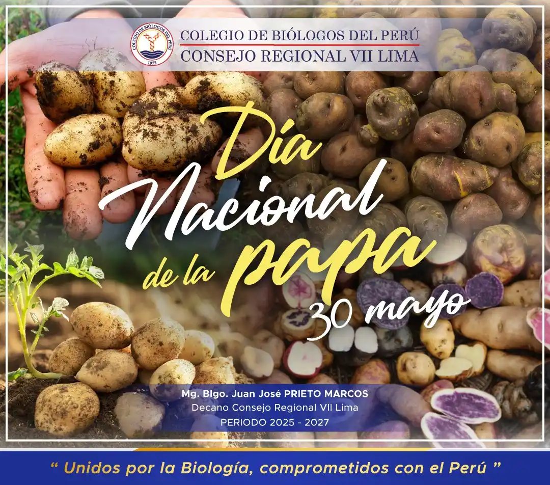 Image from CBP - CONSEJO REGIONAL VII LIMA: 🥔🇵🇪 Hoy, 30 de mayo, celebramos con orgullo el Día Nacional de la P...
