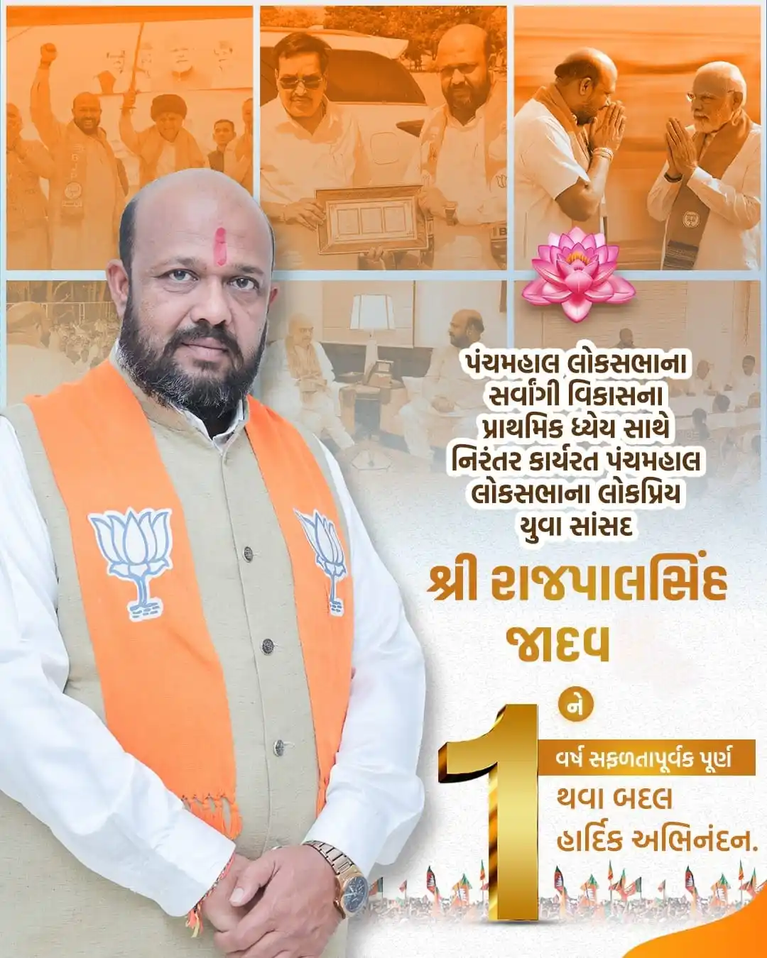 Rajpalsinh Jadav ( Member Of Parliament 18-Panchmahal ) post