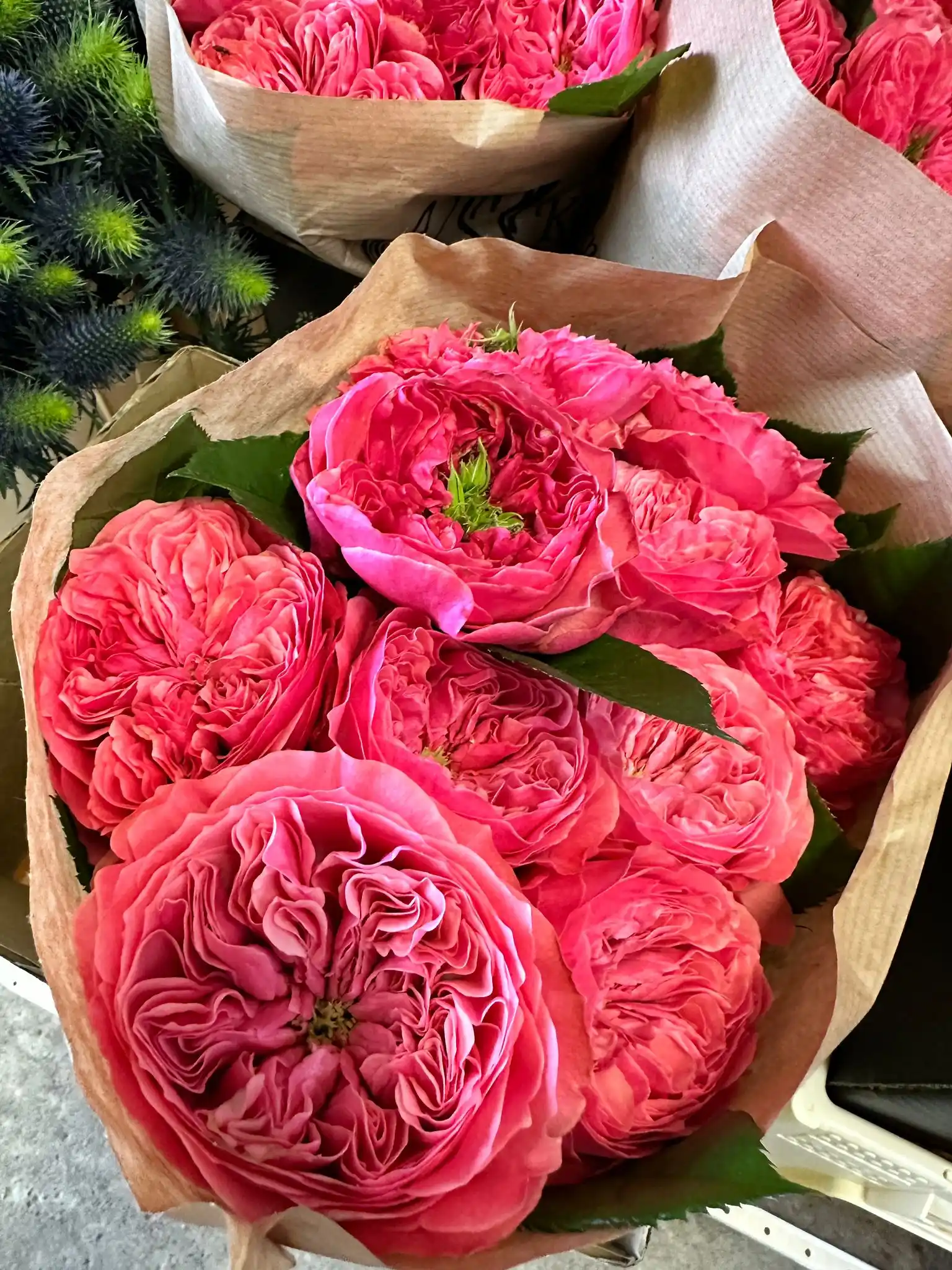 Floralvia.es post