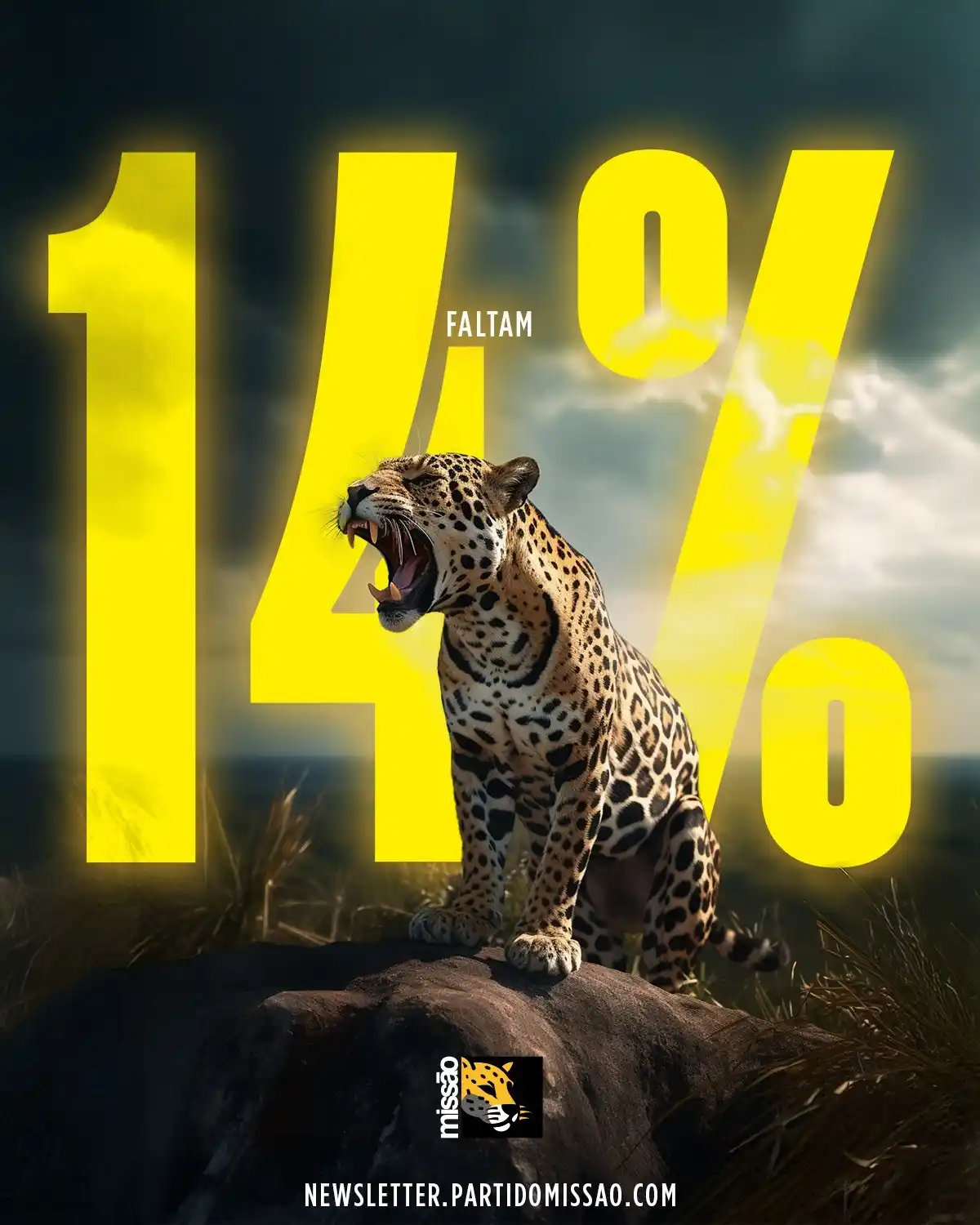 Partido Missão post