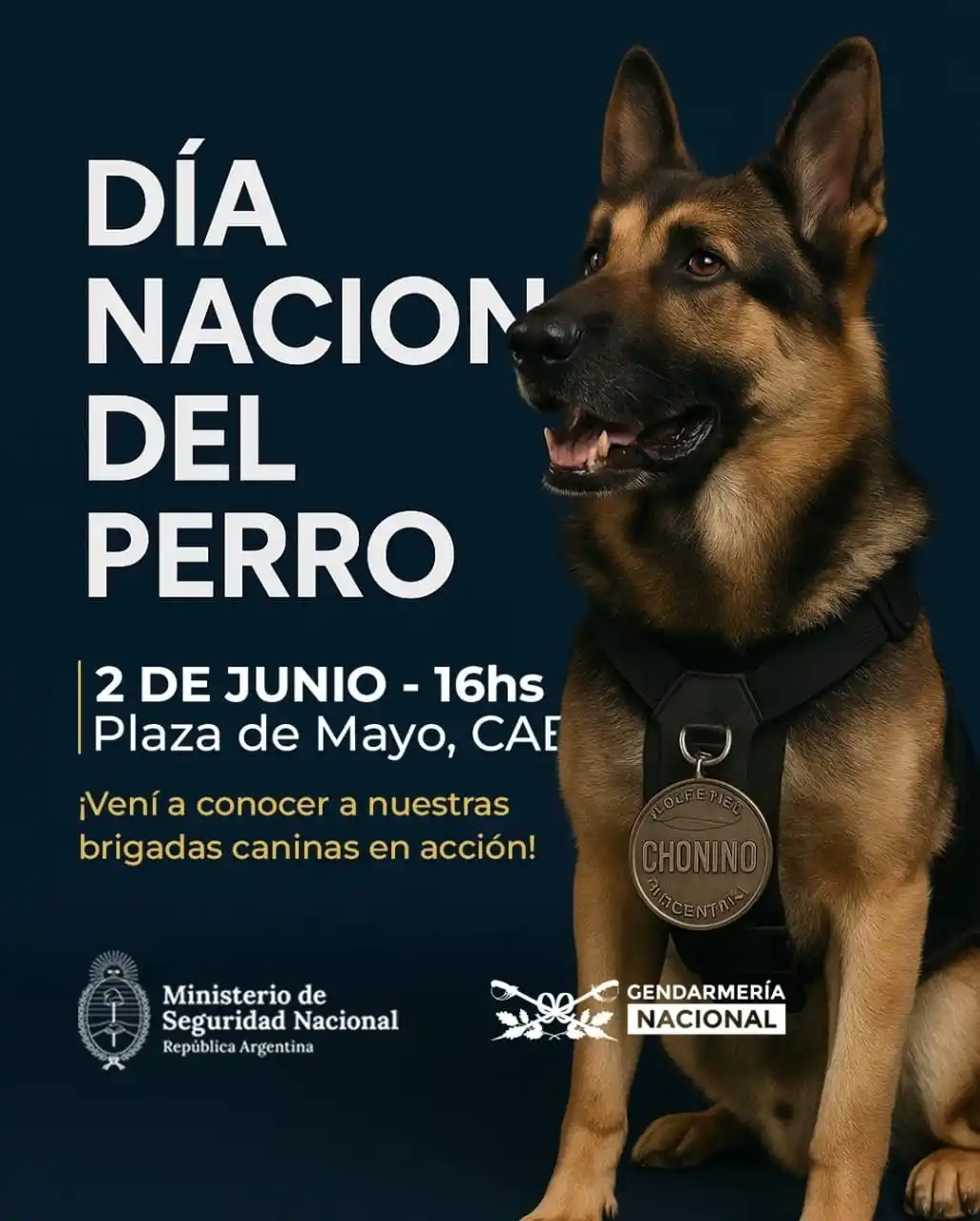 Image from SEGURIDAD NACIONAL Y DEFENSA (🇦🇷🦁 No Oficial): Flyer GNA...
