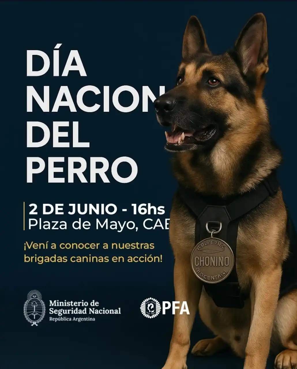 Image from SEGURIDAD NACIONAL Y DEFENSA (🇦🇷🦁 No Oficial): Flyer PFA...