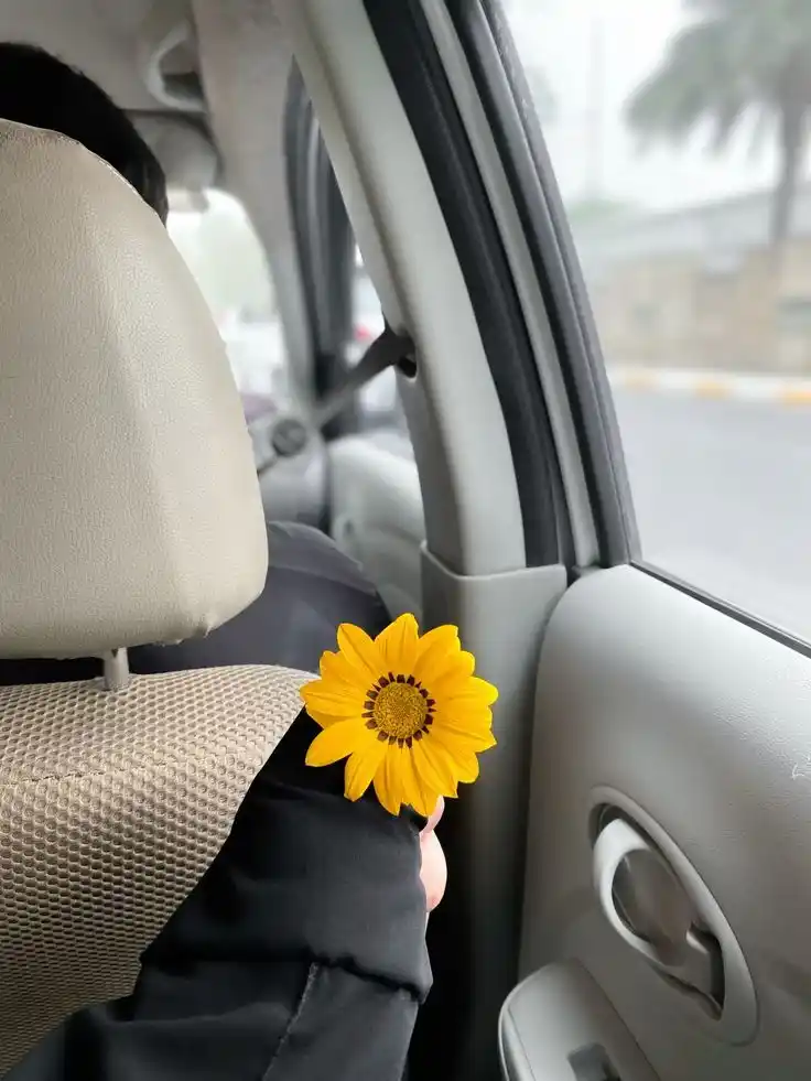 Image from مـسـافـة أمــــان🕊💛	❥  ملصقات  أقتباسات صور معلومات ستوري حب صداقه قرآن تحفيز. تفسيرحزن نكت فديو ورد: *"حَسبِي إذا انكسَرت مَباهجُ مُقلتي* *إنّي أراكَ ياربُّ مداوياً ورحِيم...