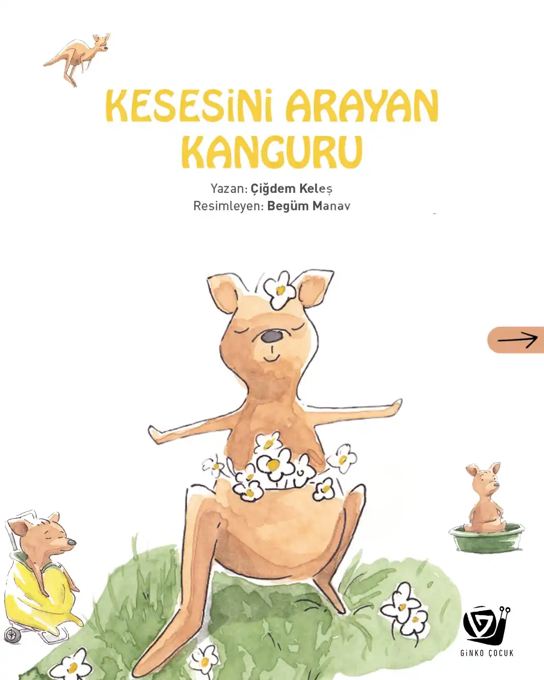 Ginko Kitap post