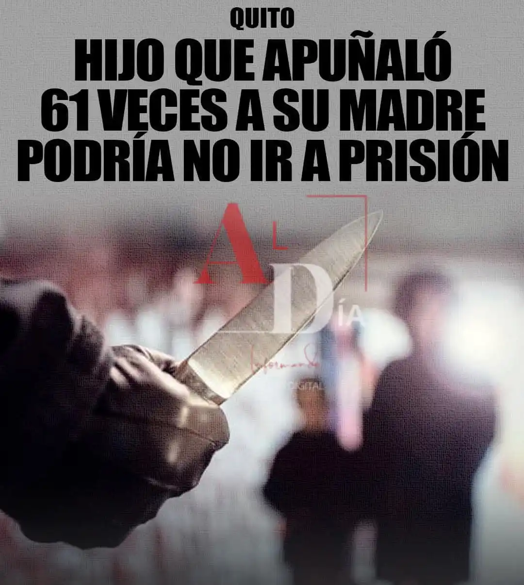 Image from AL DIA INFORMADO: ¡Impactante giro en caso!⚖️ Hijo que apuñaló 61 veces a su madre podrí...