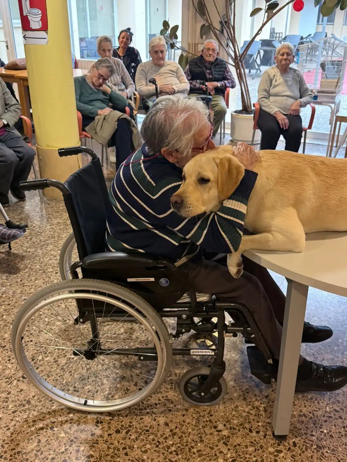 Asociación Bienestar y Desarrollo - Grupo ABD post