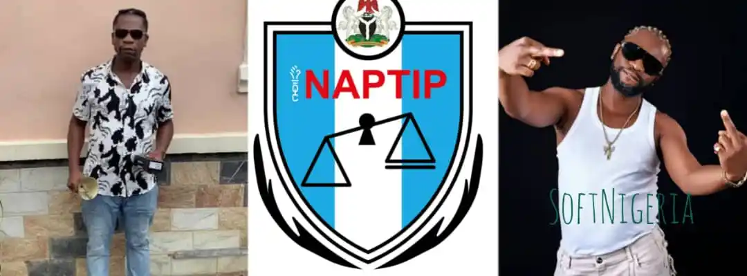 Softnigeria.com post