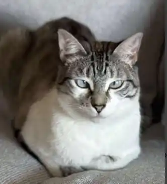 Ayuntamiento Las Ventas de Retamosa   post