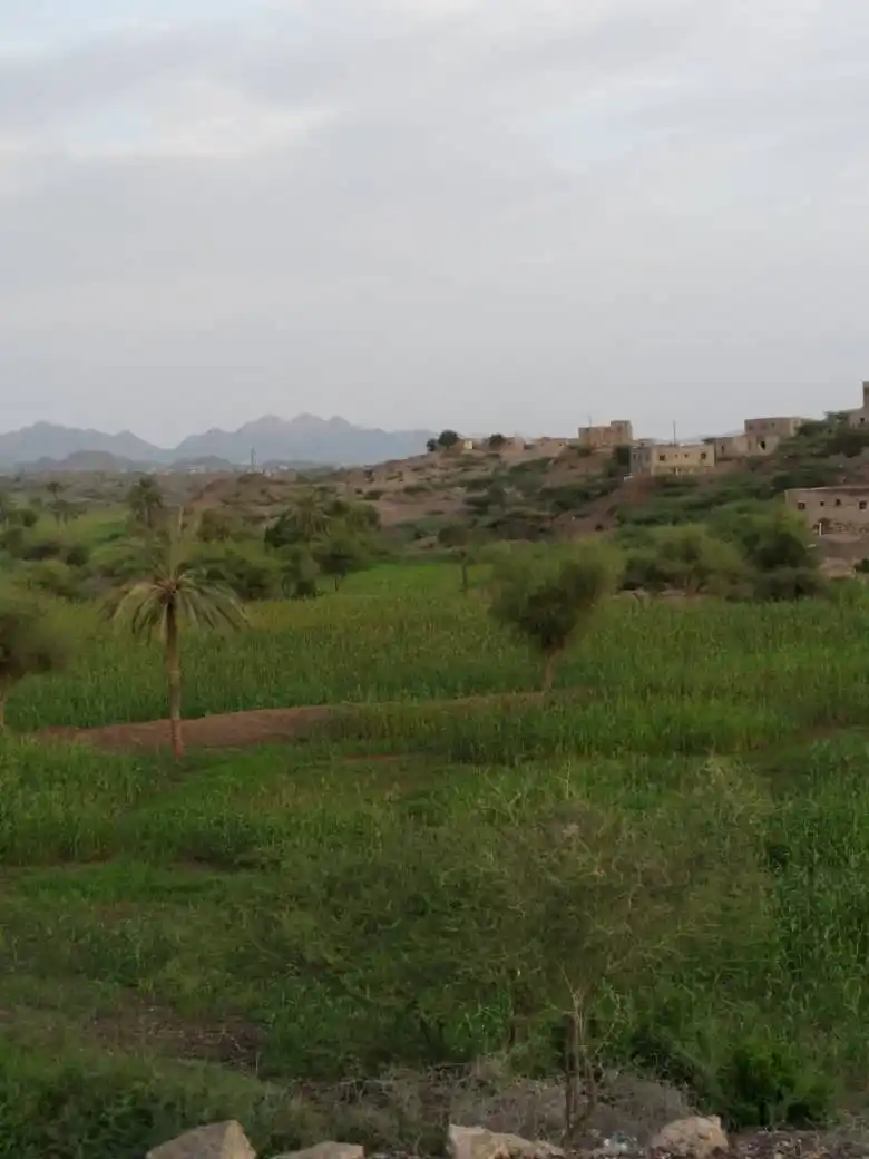 Image from ✔قناة انتقاء✔: "صباحُ الخيرِ بسمِ الله أشرق وروحي في عطاءِ الله تغرق لكَ الملكوت...