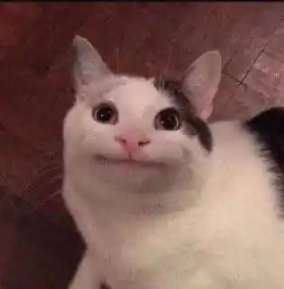 Aposta1 - Canal Oficial post