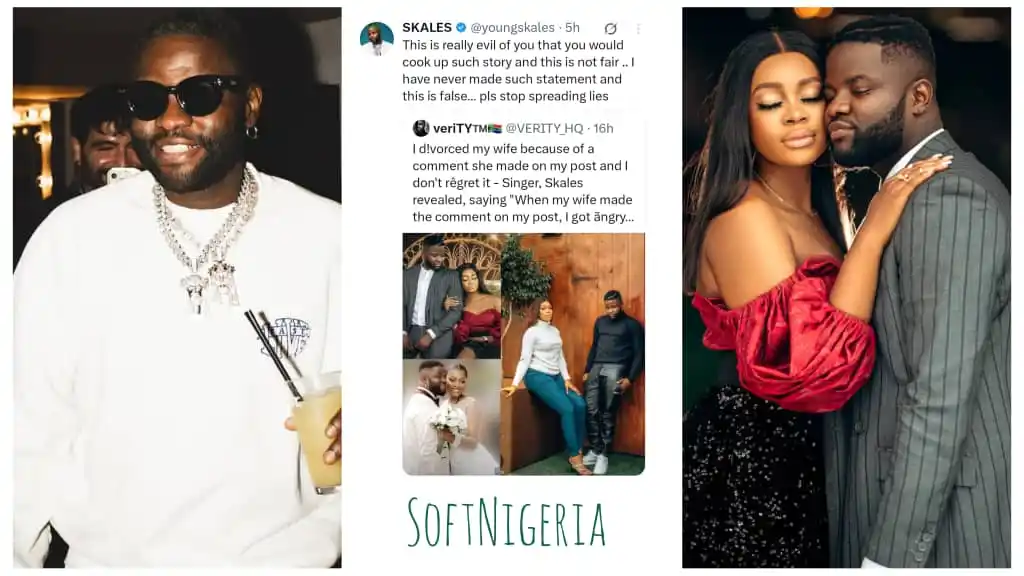 Softnigeria.com post