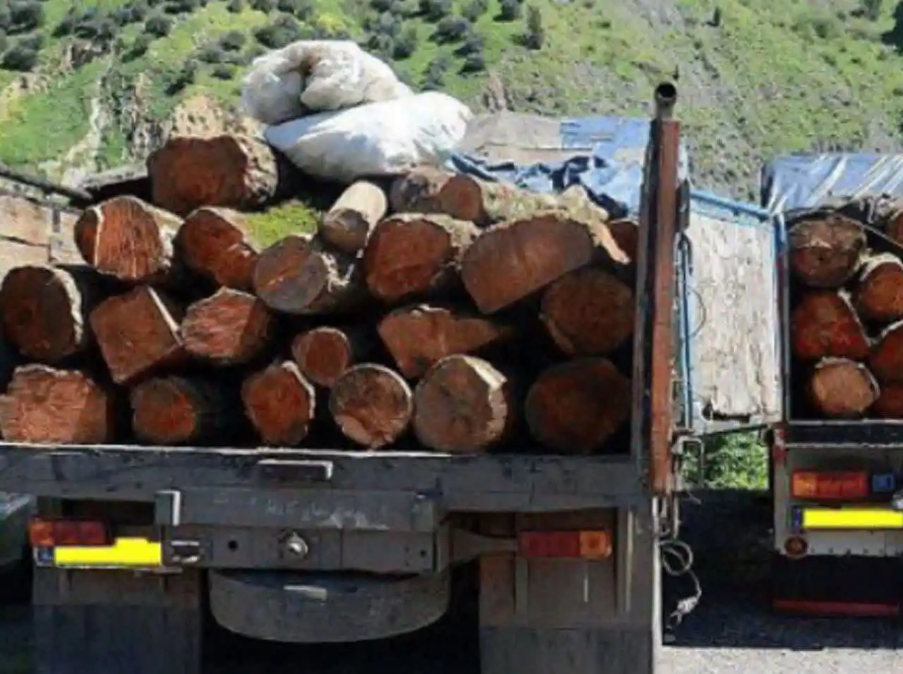 Image from خبر بابل: ۲۰ باند حرفهای قاچاق چوب در مازندران متلاشی شدند 🔹️مدیرکل منابع طبی...