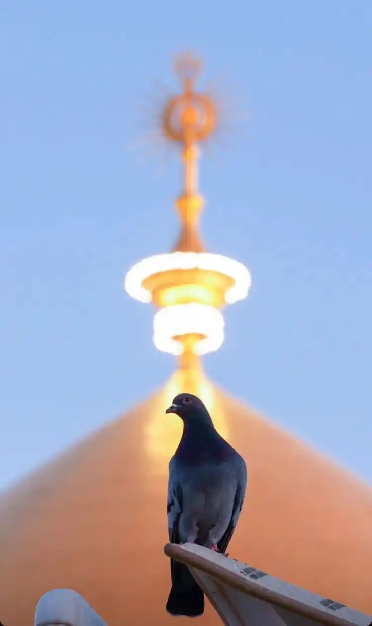 Image from مركز سيد الشهداء عليه السلام: *عن يعقوب بن شعيب قال: وسألت أبا عبد الله (ع) عن قول الله تبارك وتعالى...