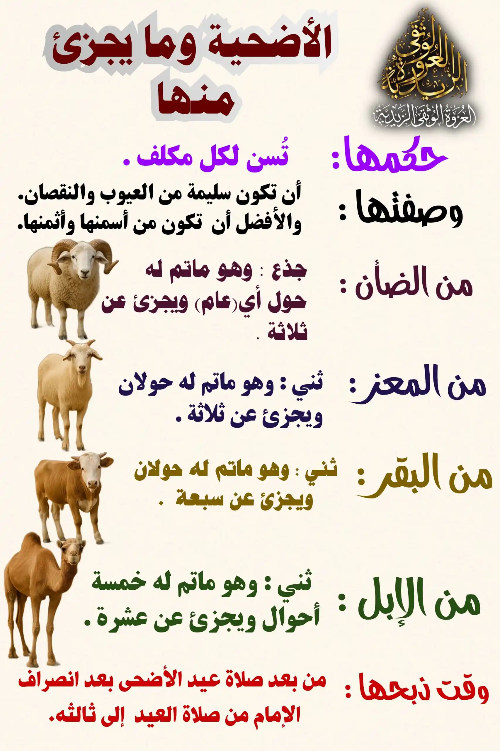 Image from العروة الوثقى الزيدية: 【 الأضحية - حكمها، وصفتها، وما يجزئ منها، ووقت ذبحها 】 <a class="text...