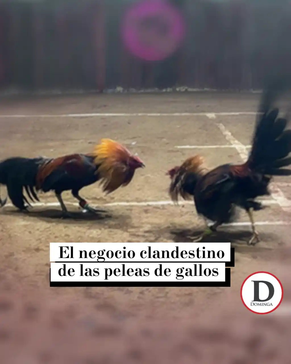 Image from Milenio Noticias 🗞️📺: <a class="text-blue-500 hover:underline cursor-pointer" href="/hashtag...