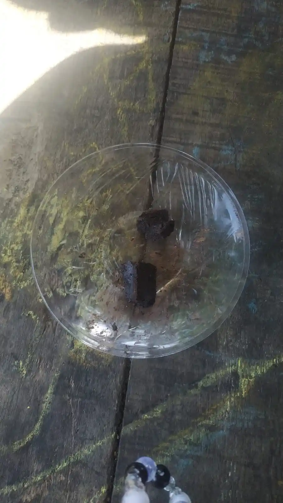 𖠗 🐇𝒜𝓎𝒶 🎀 𓄹 . post