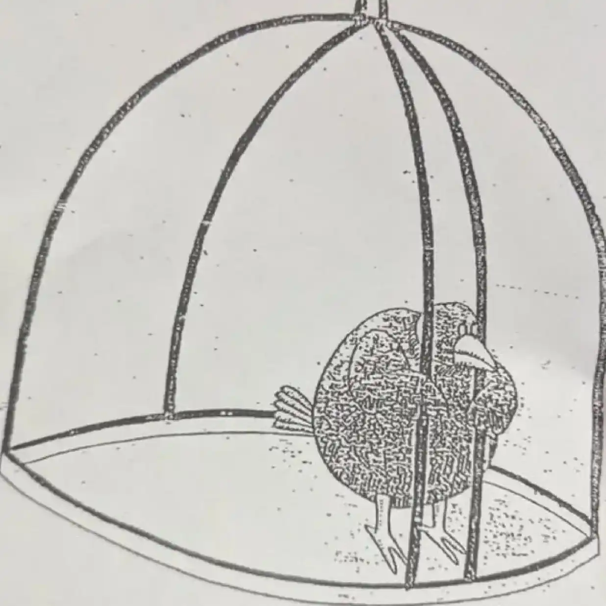 MY CRYPTO ALPHA💎💯 post