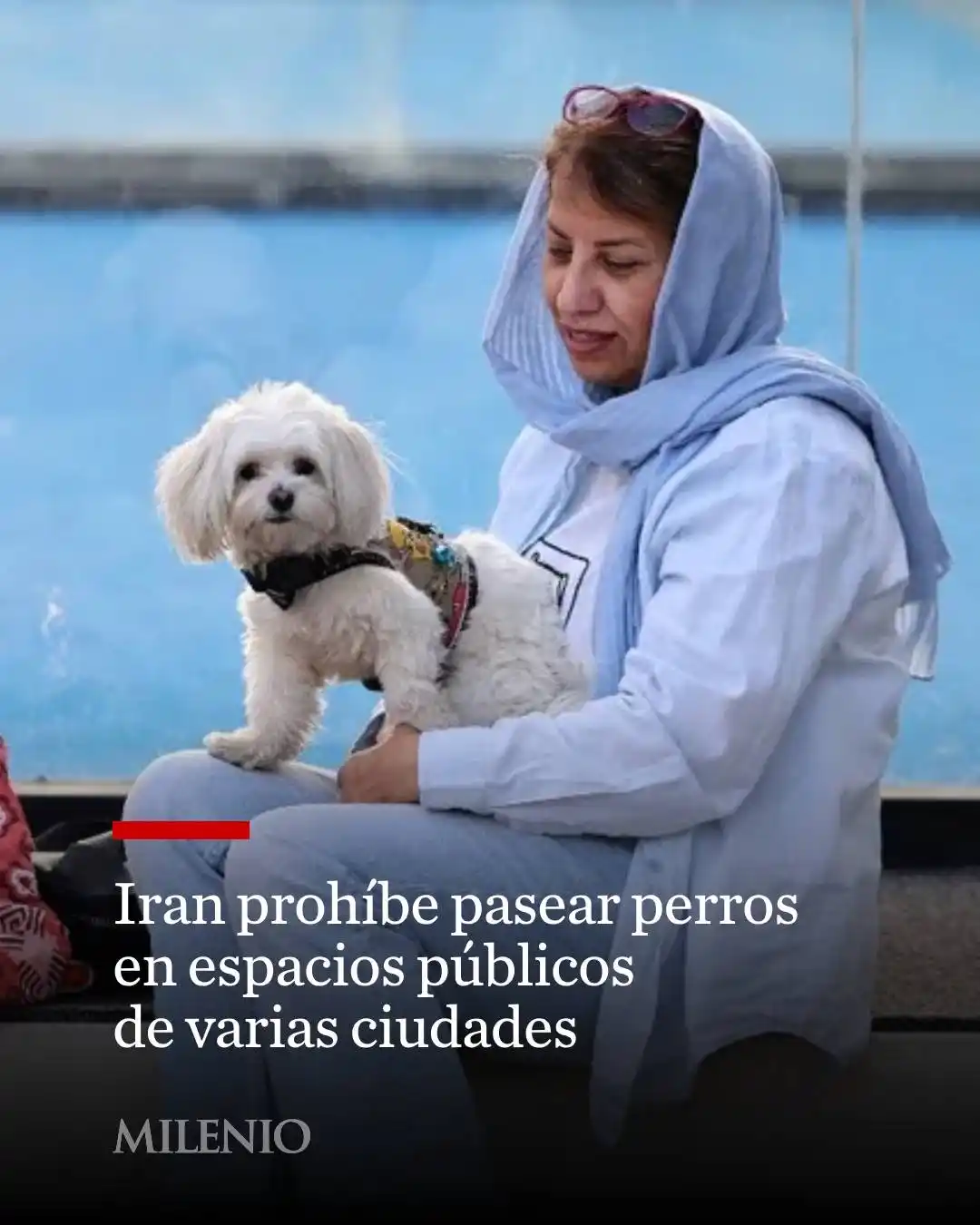 Image from Milenio Noticias 🗞️📺: 🇮🇷🐶 Pasear a perros domésticos en la calle está prohibido en casi u...