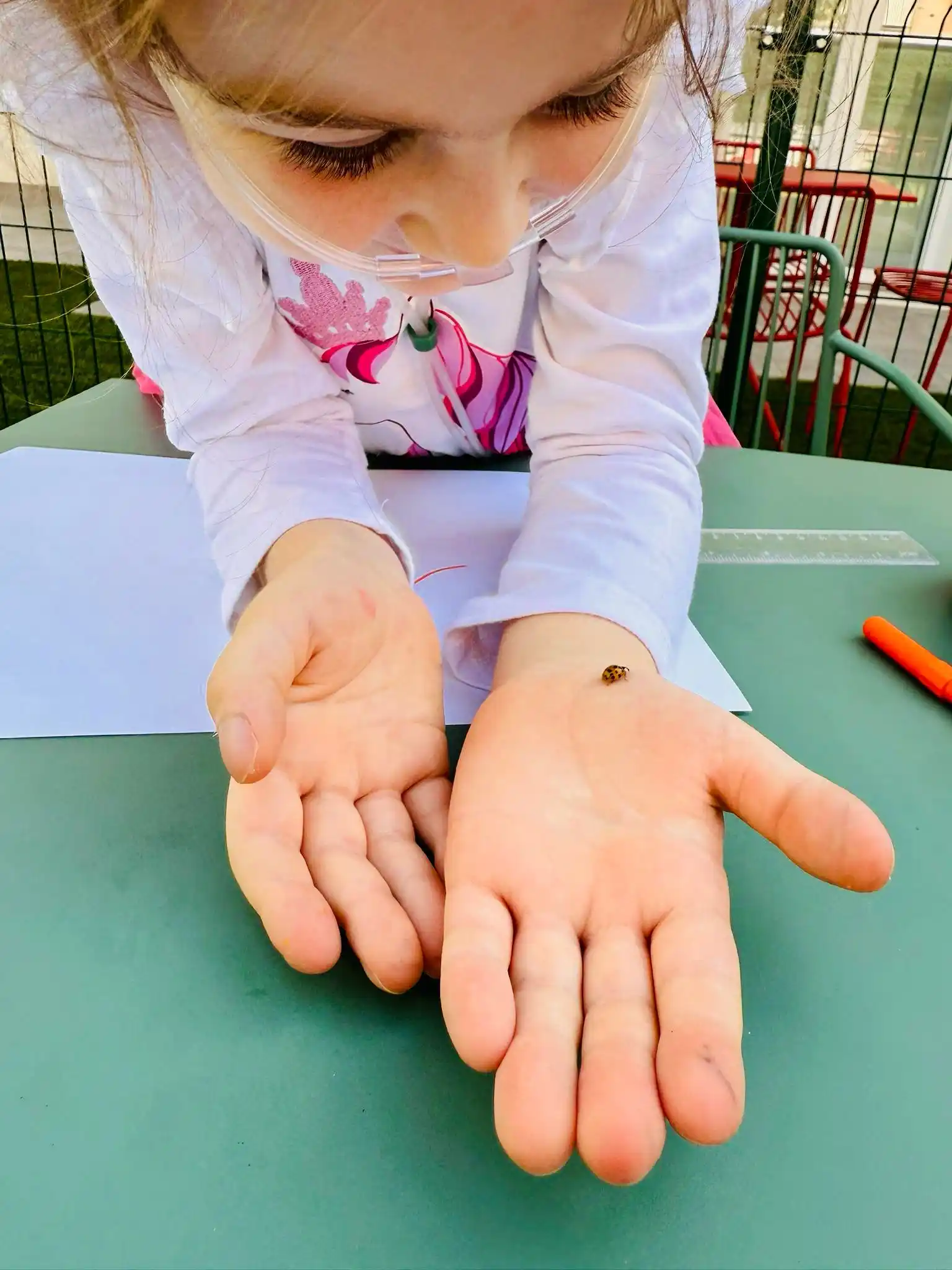 Image from Amici della Pediatria - Bergamo: Là dove si posa la coccinella, è il centro della felicità. 🐞❣️ (Fabri...