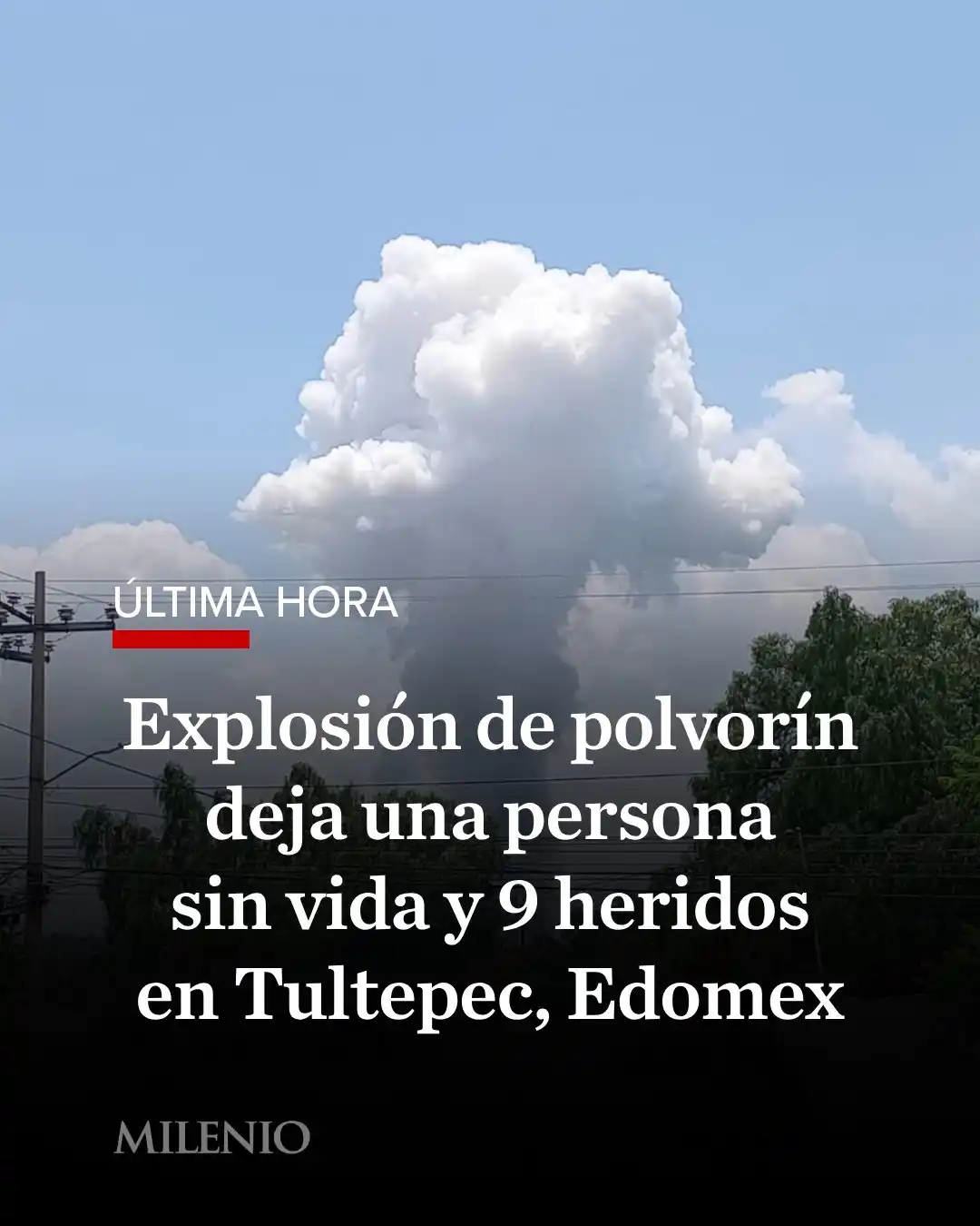 Image from Milenio Noticias 🗞️📺: 🚨 <a class="text-blue-500 hover:underline cursor-pointer" href="/hash...