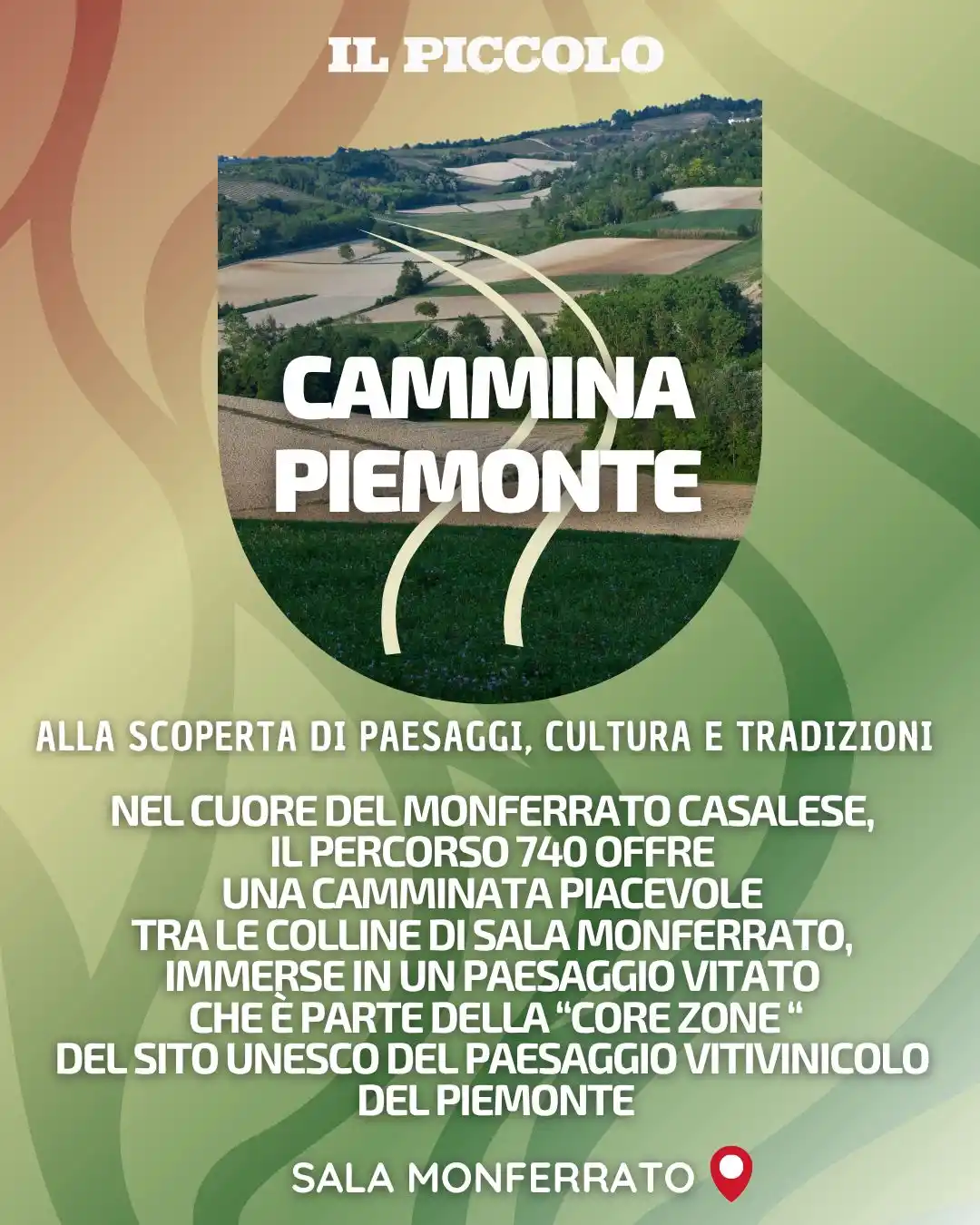 Image from Il Piccolo di Alessandria: Un anello tra le vigne del Monferrato, una big bench color Barbera 🍷 ...