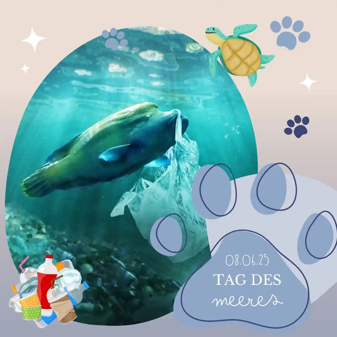 Image from Kleintierpraxis Hechtsheim: Unsere Ozeane sind wunderschön – und leider massiv verschmutzt. Jedes ...