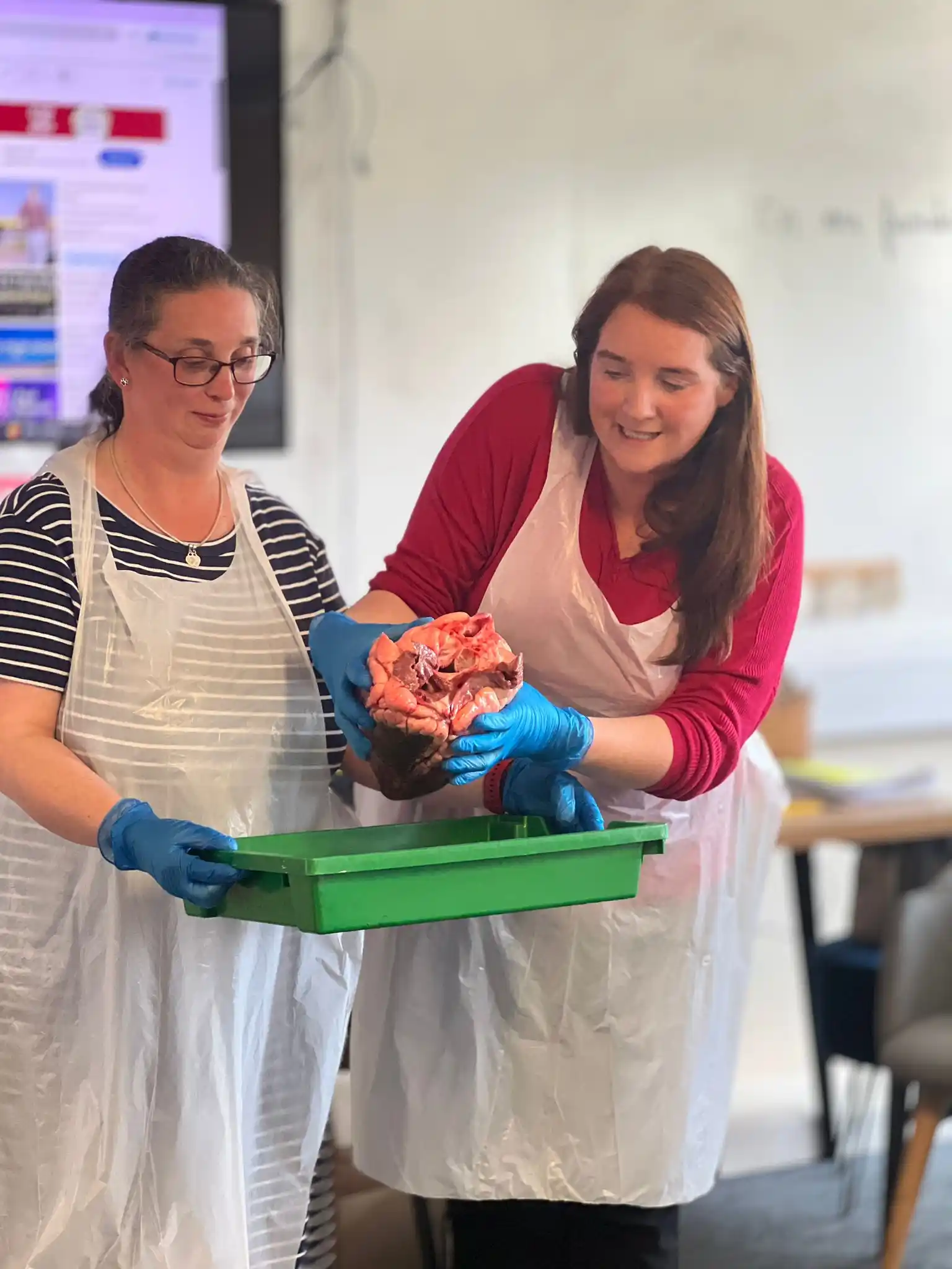 Image from Whitegate End Primary School: 🫀 Year 6 have been learning about the heart in science and had used a...