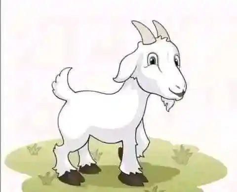 Gari.pk Car Bike Auto Vehicles post