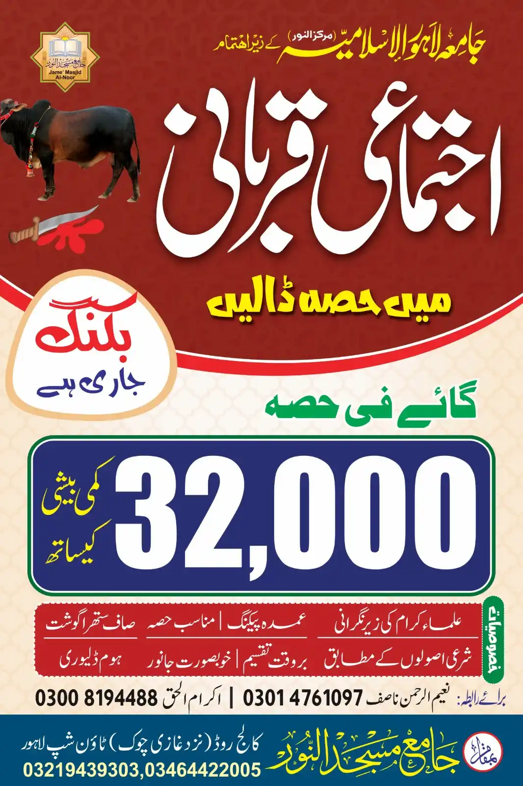 Image from Mohaddis Media: *🐄 اجتماعی قربانی | عین شریعت کے مطابق، اعتماد کے ساتھ!* جامعہ لاہور ...