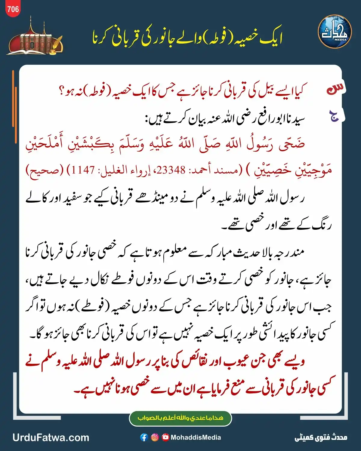 Image from Mohaddis Media: *ایک خصیہ (فوطہ) والے جانور کی قربانی کرنا* روزانہ کی بنیاد پر مختلف ...