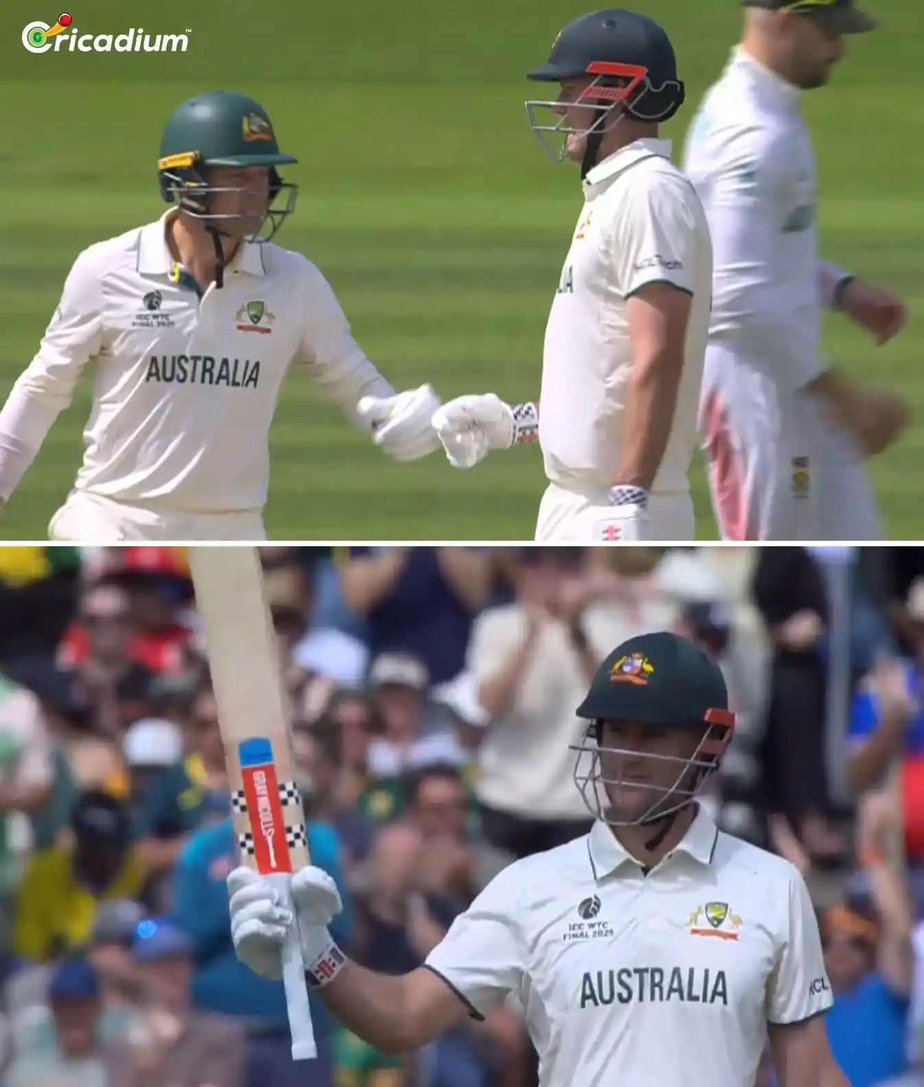 Image from Cricadium🏏: Beau Webster brings up his 2nd half-century! 💯🔥 <a class="text-blue...