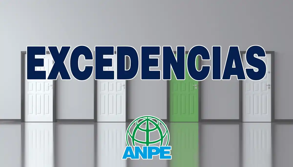 Image from ANPE CV - Sindicato profesional de Educación Pública: *Circular sobre excedencias del personal docente no universitario: exc...