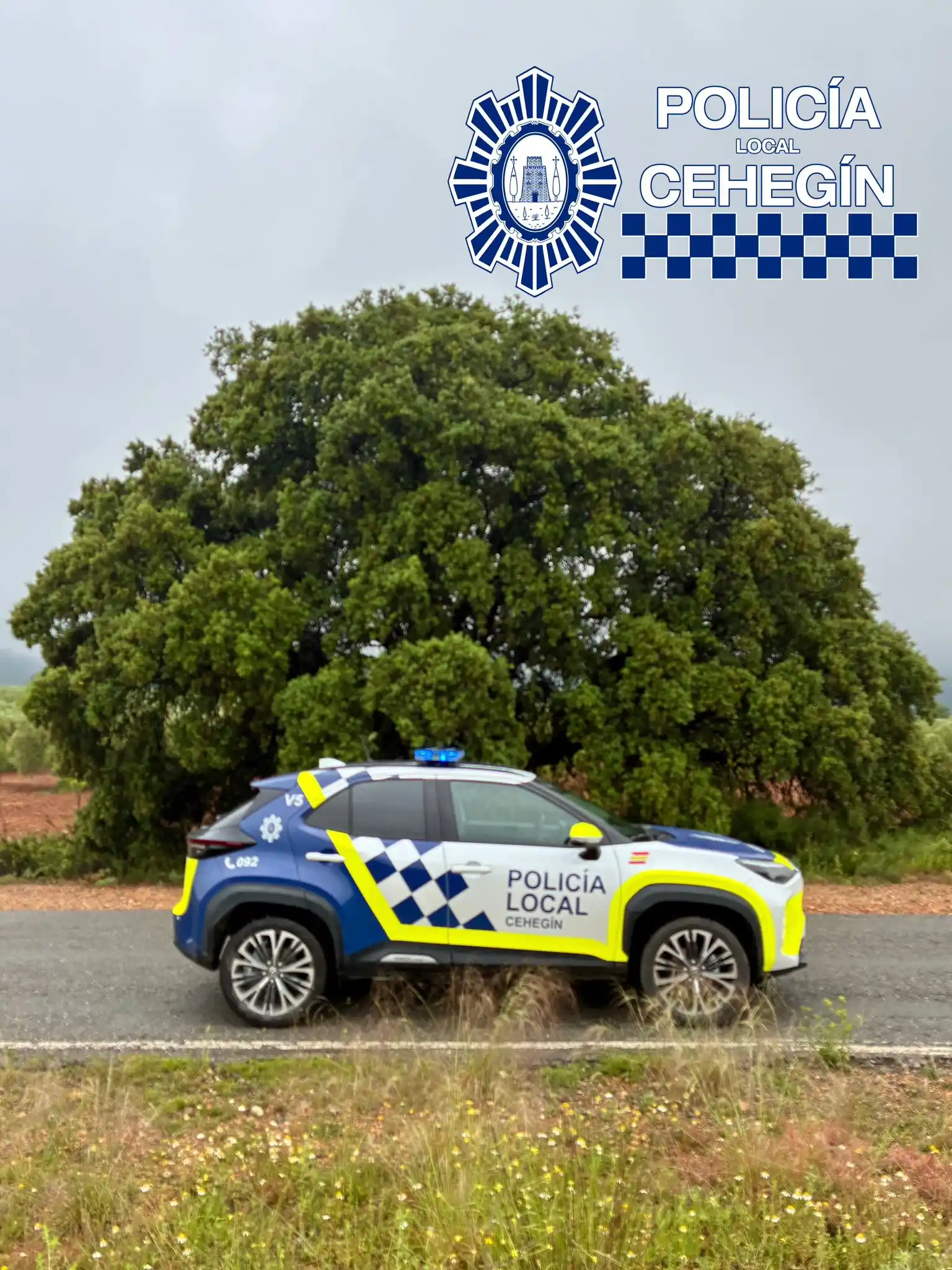 Image from Policía Local Cehegín: Hoy se celebra el Día Mundial del Medio Ambiente 🌿🌳⛰️, entender la i...