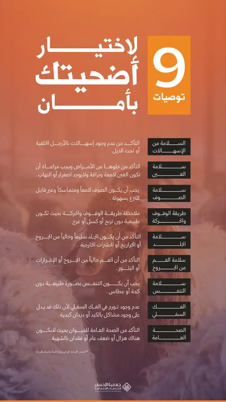 Image from جمعية الاحسان للخدمات الاجتماعية | Al-Ihsan Association for Social Services: كيف تختار أضحية سليمة؟ 9 توصيات لاختيار أضحيتك بأمان 🐏 <a class=...