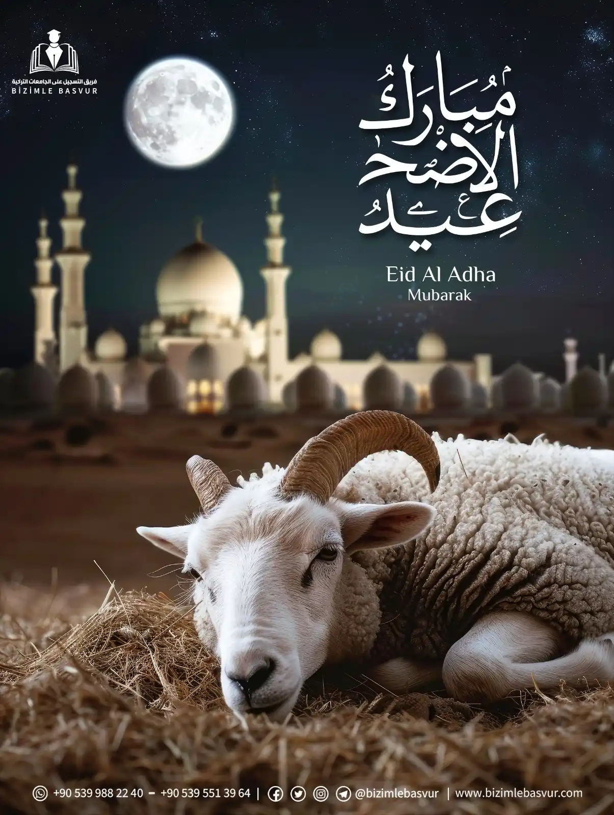 Image from فريق التسجيل على الجامعات التركية - Bizimle Başvur: "لَبَّيْكَ اللَّهُمَّ لَبَّيْكَ، لَبَّيْكَ لاَ شَرِيكَ لَكَ لَبَّيْكَ،...