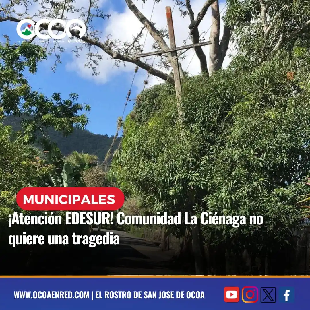 Image from Ocoa En Red: <a class="text-blue-500 hover:underline cursor-pointer" href="/hashtag...