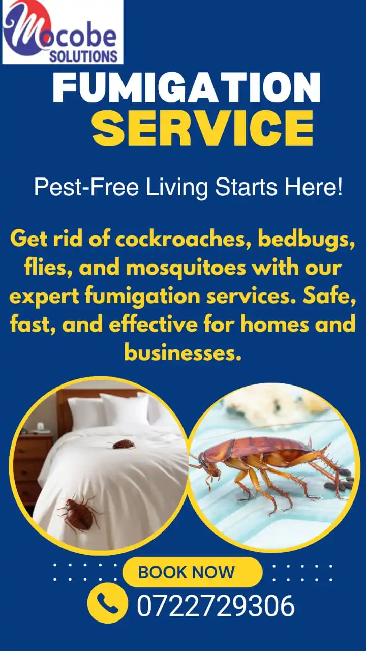 Image from Thika Town Today - 3T: *SPONSORED:* _*Say goodbye to pests for good!*_ *Mocobe Solutions* i...