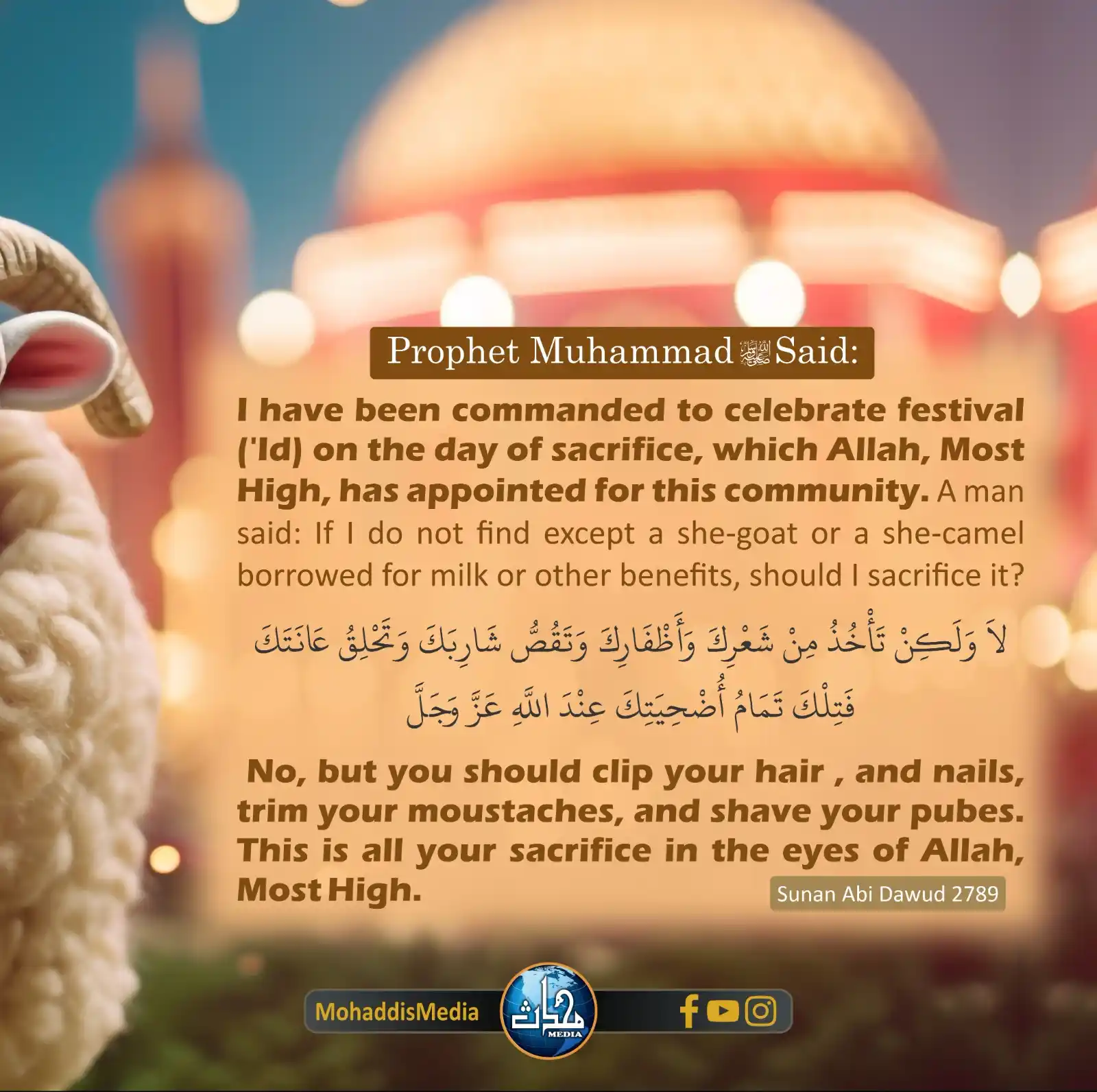 Image from Mohaddis Media: 📌 Title: *The reward of sacrifice even for those who cannot afford it...