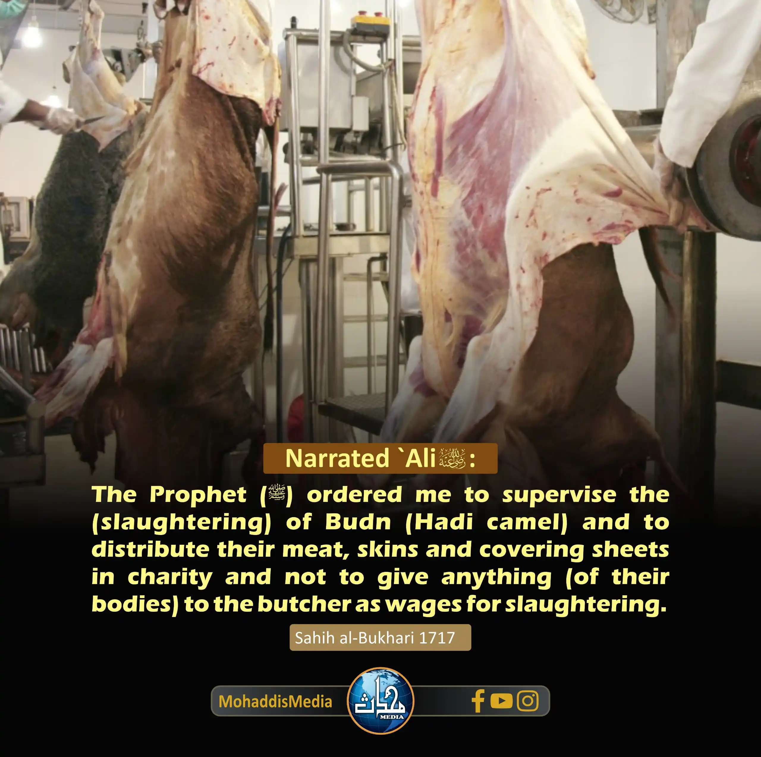 Image from Mohaddis Media: 📌 Title: *The skin of the sacrifice should be given as charity.* 📖 ...