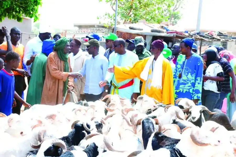 Image from SenCaféActu : *Top 5 du 5 juin 2025*  • Approvisionnement en moutons pour la Tabaski...