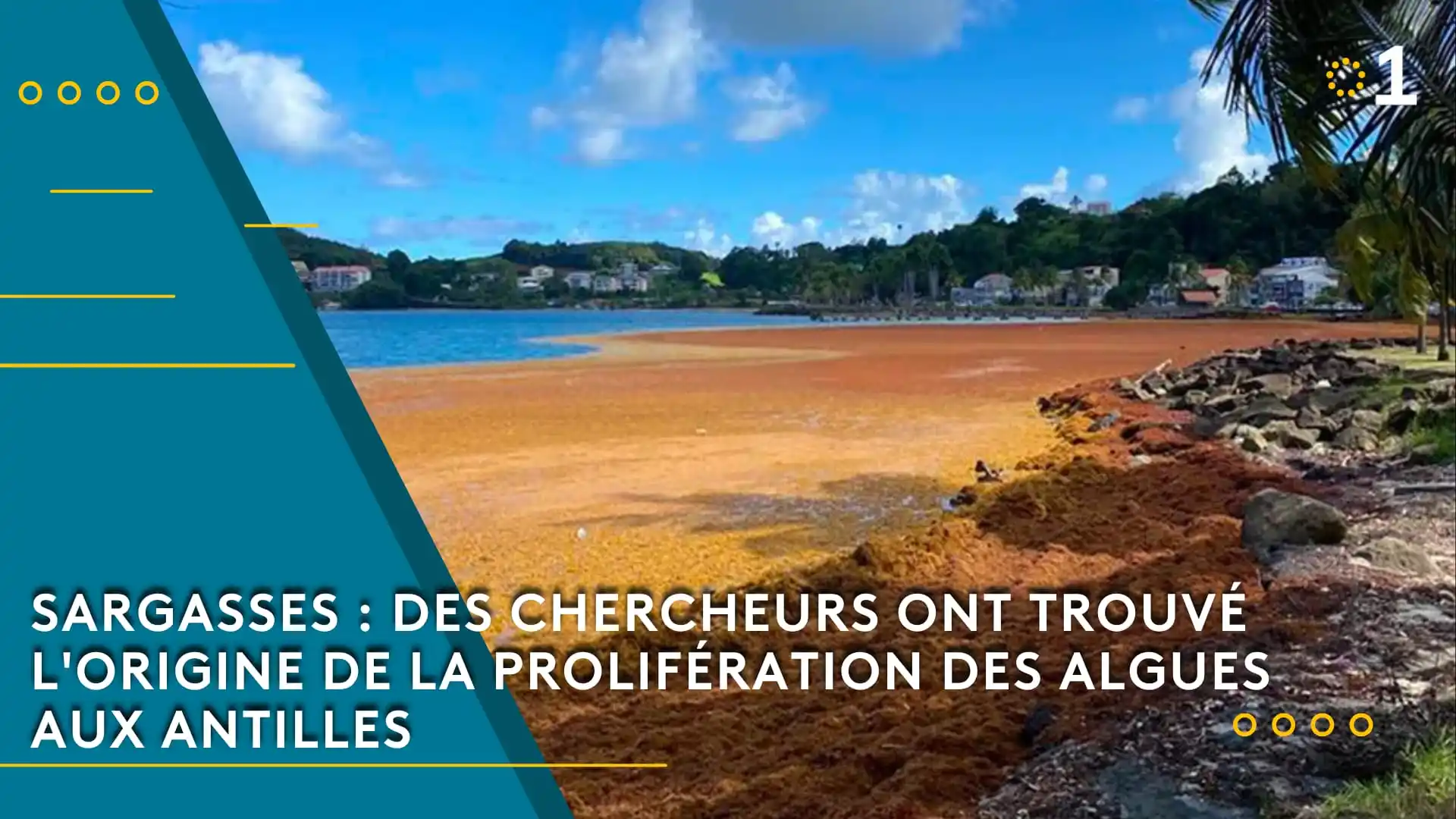 Image from Outre-mer la 1ère: 🔬Une modélisation numérique de l'IRD a permis de tester les principal...