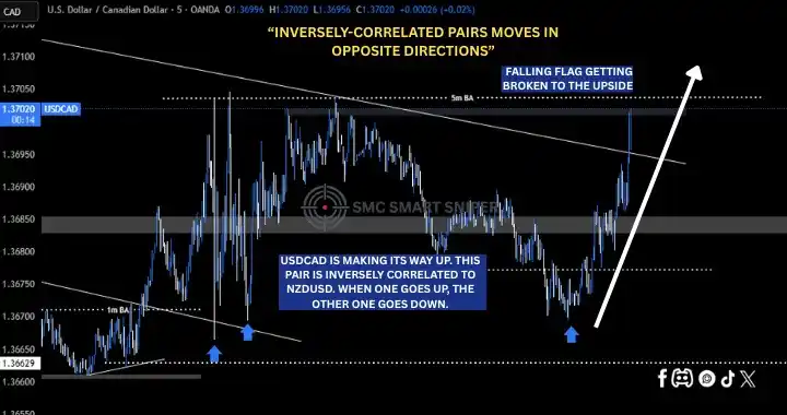 Image from SMC Smart Sniper: When USDCAD goes up NZDUSD comes. These two are inversely correlated. ...