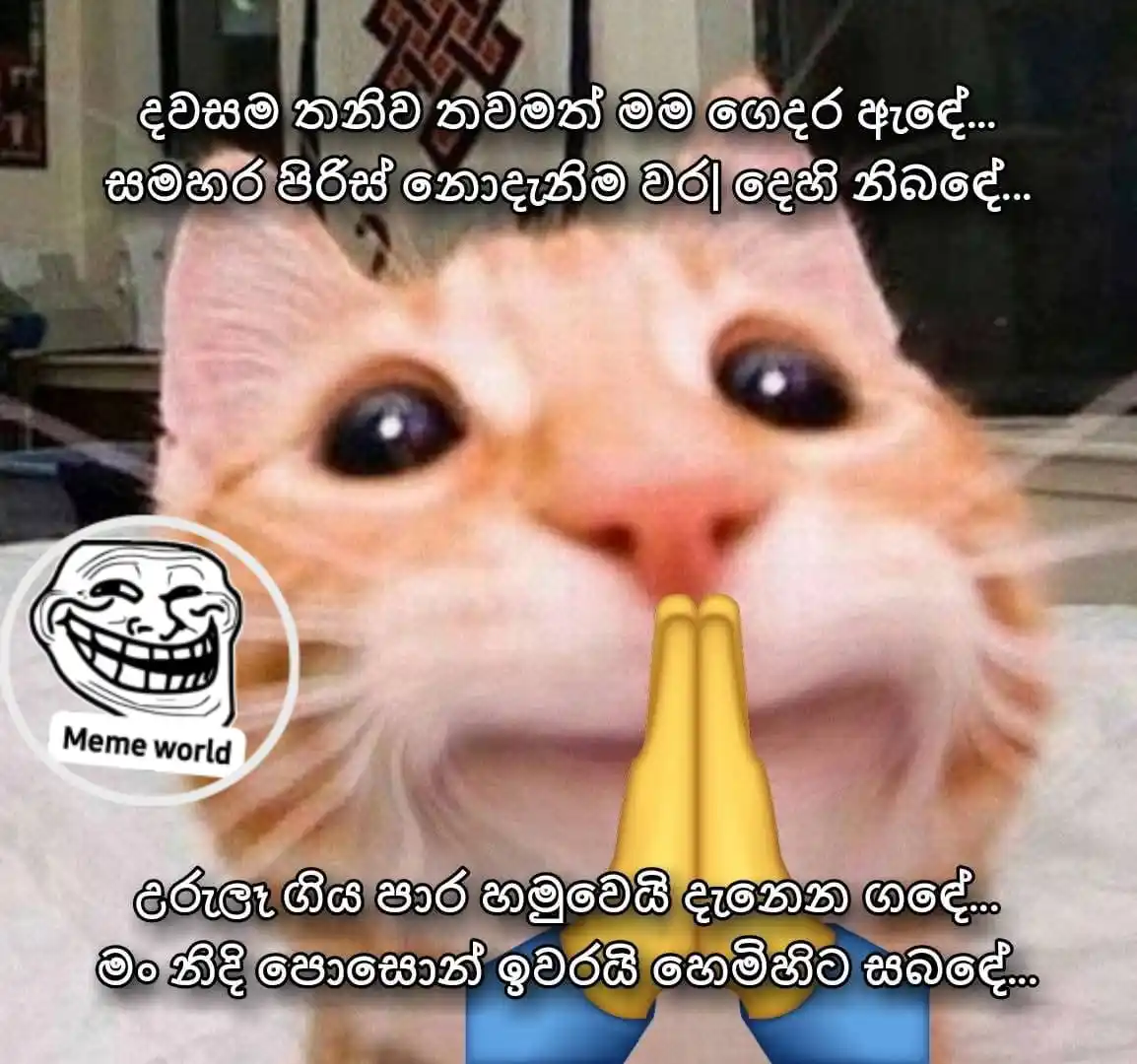MEME WORLD || 🇱🇰 post
