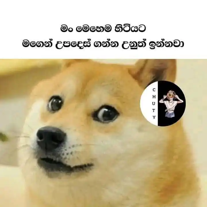 MEME WORLD || 🇱🇰 post