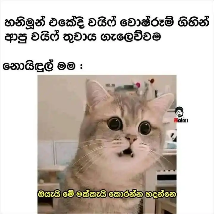 MEME WORLD || 🇱🇰 post