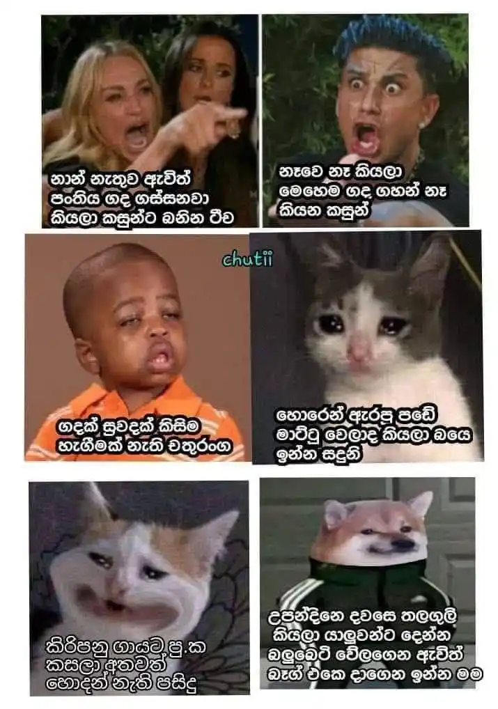 MEME WORLD || 🇱🇰 post