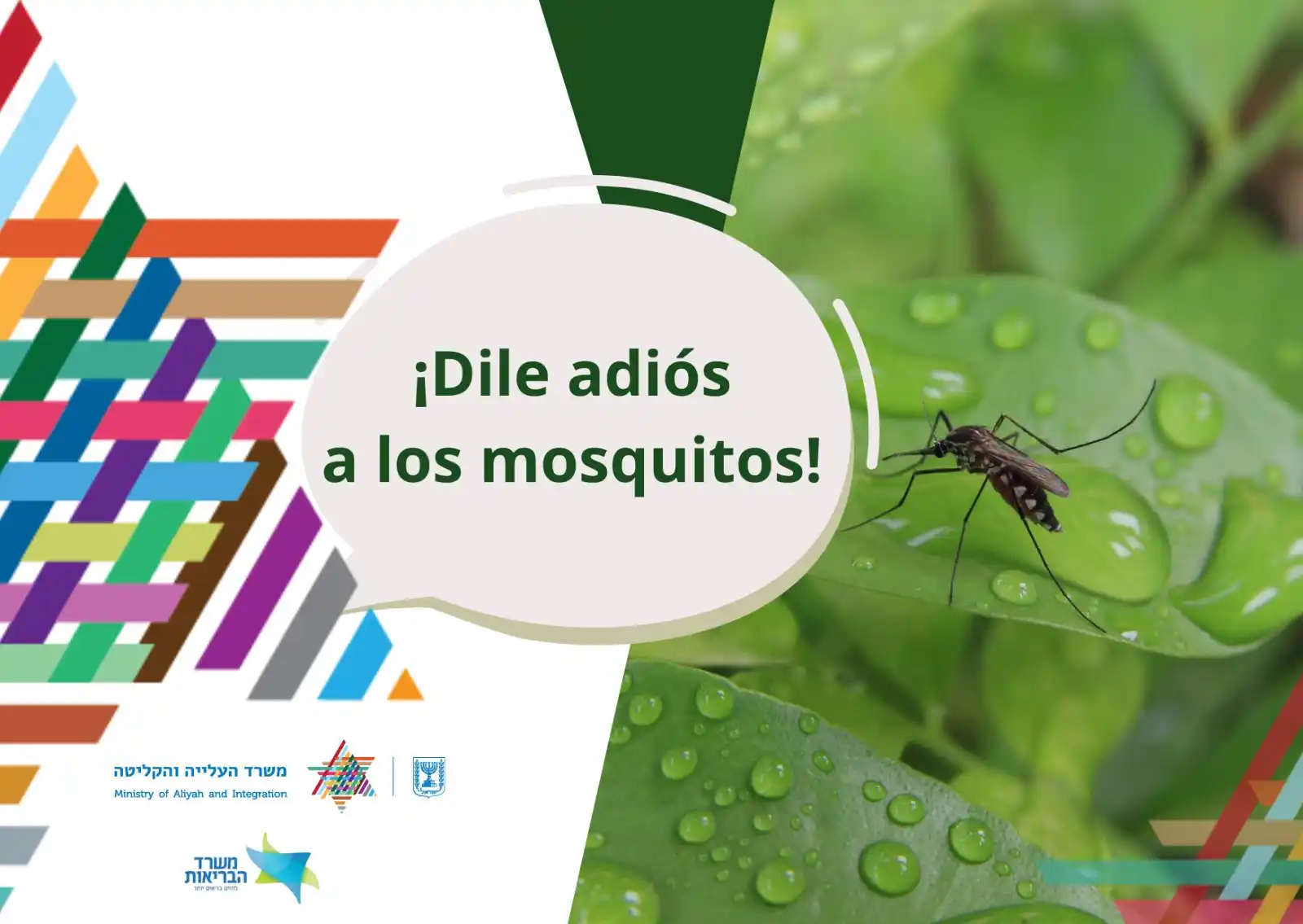Image from Ministerio de Aliá y de Integración: *¡El verano está aquí – y los mosquitos lo siguen!* 🦟 Los mosquitos...