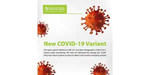 Image from Nuusflits: Nuwe Covid-19 variant word gemonitor Die Nasionale Instituut vir Oord...