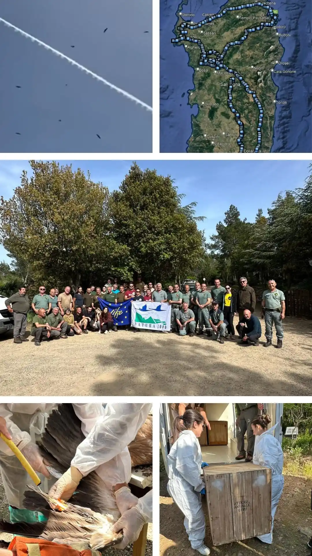 Image from Agenzia Fo.Re.S.T.A.S: 📌 Oggi giornata speciale a Villasalto fervono i preparativi in vista ...